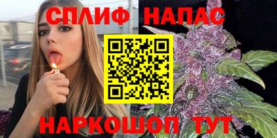 сатива Ипатово