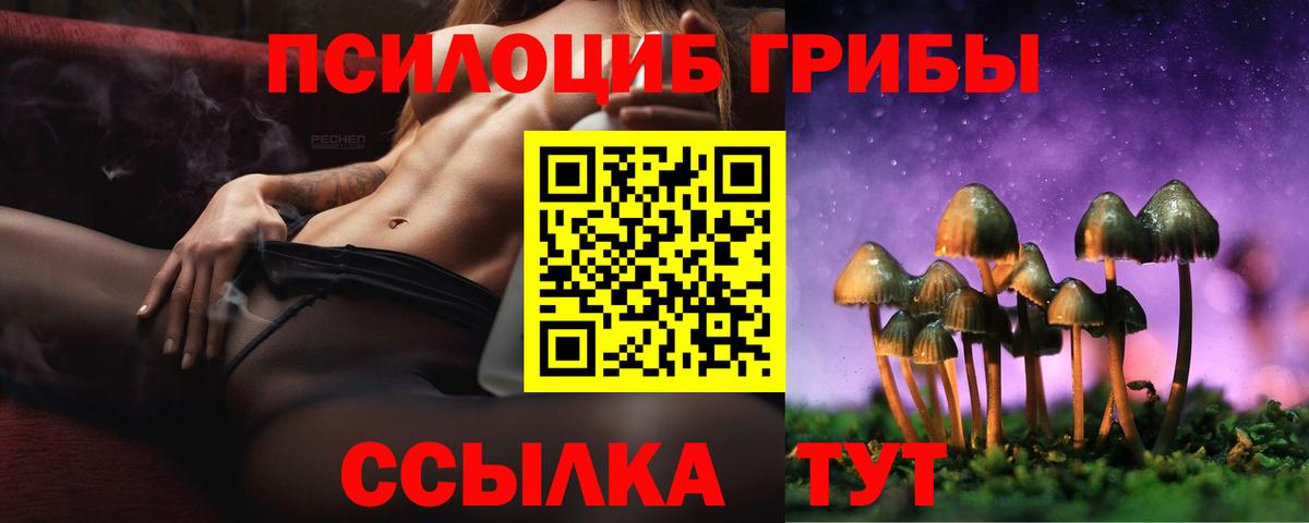Курчатов  Псилоцибиновые грибы мицелий  Вход с VPN 